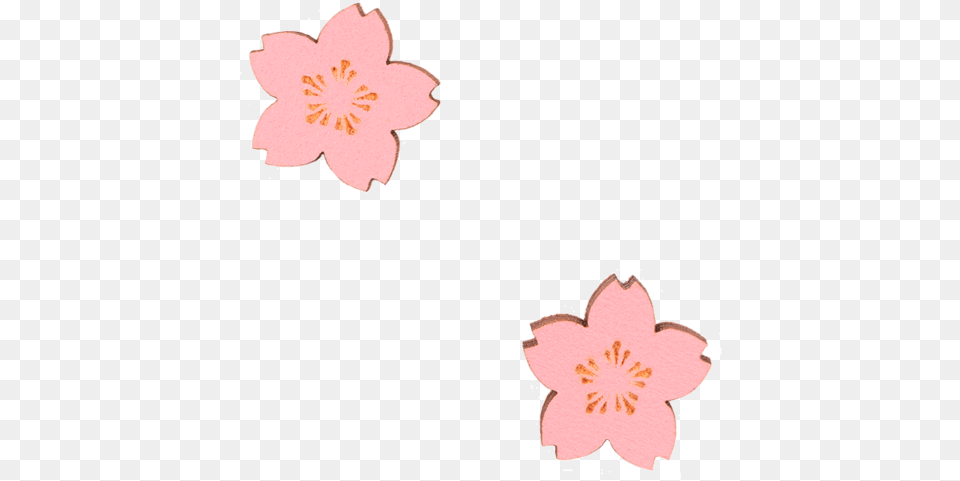 Artificial Flower, Plant, Cherry Blossom, Person Png