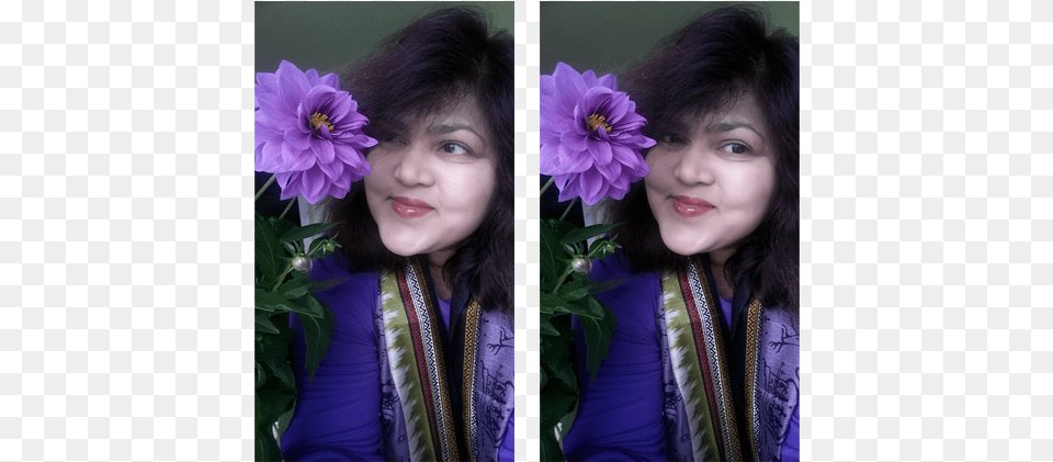 Artificial Flower, Adult, Purple, Person, Woman Free Png
