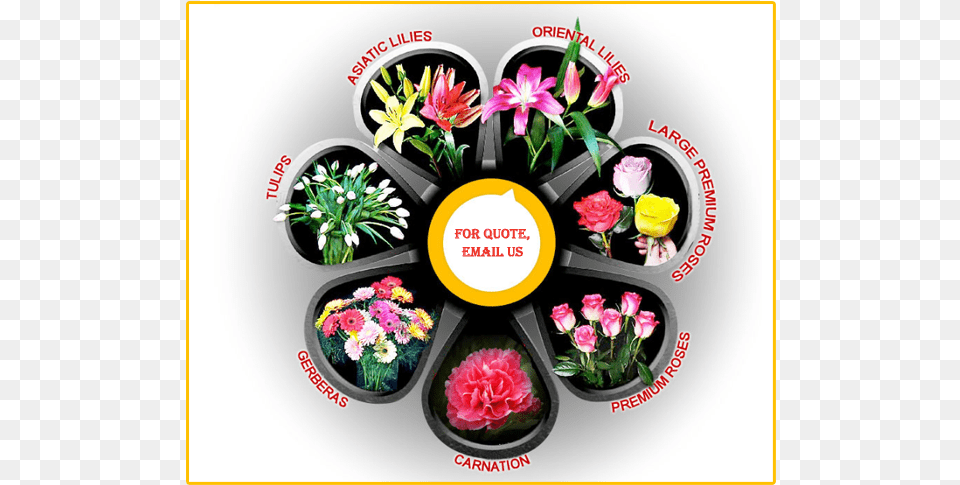 Artificial Flower, Art, Plant, Pattern, Graphics Png Image