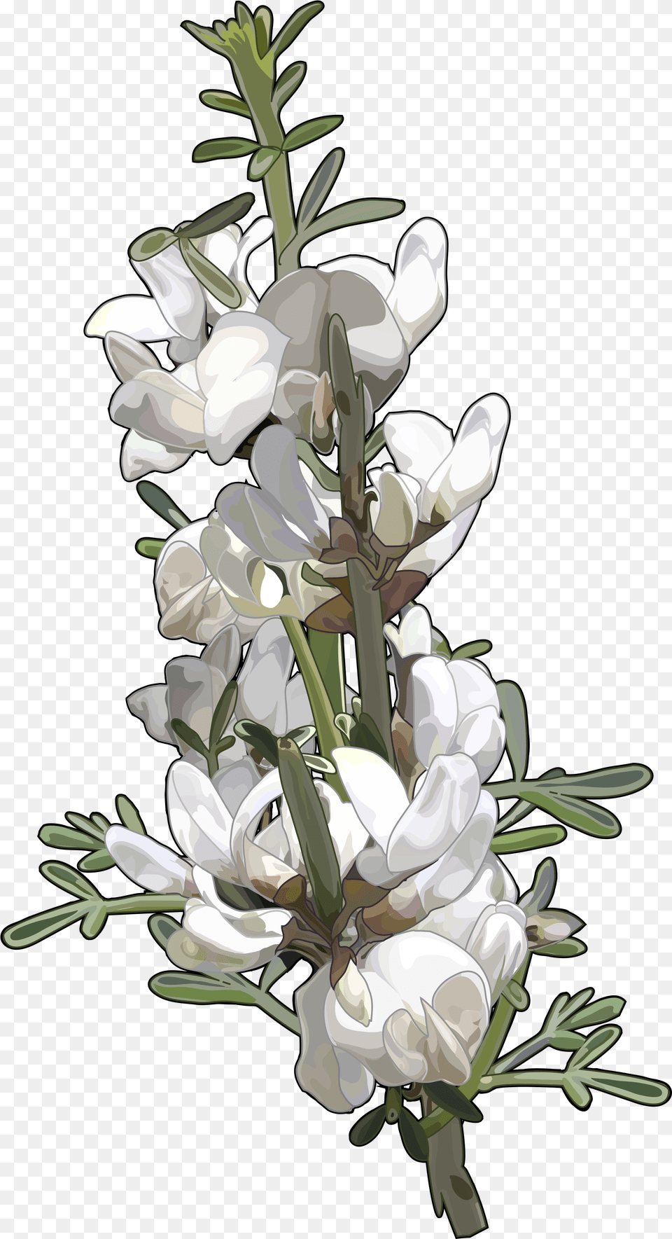 Artificial Flower, Petal, Plant, Flower Arrangement Free Transparent Png