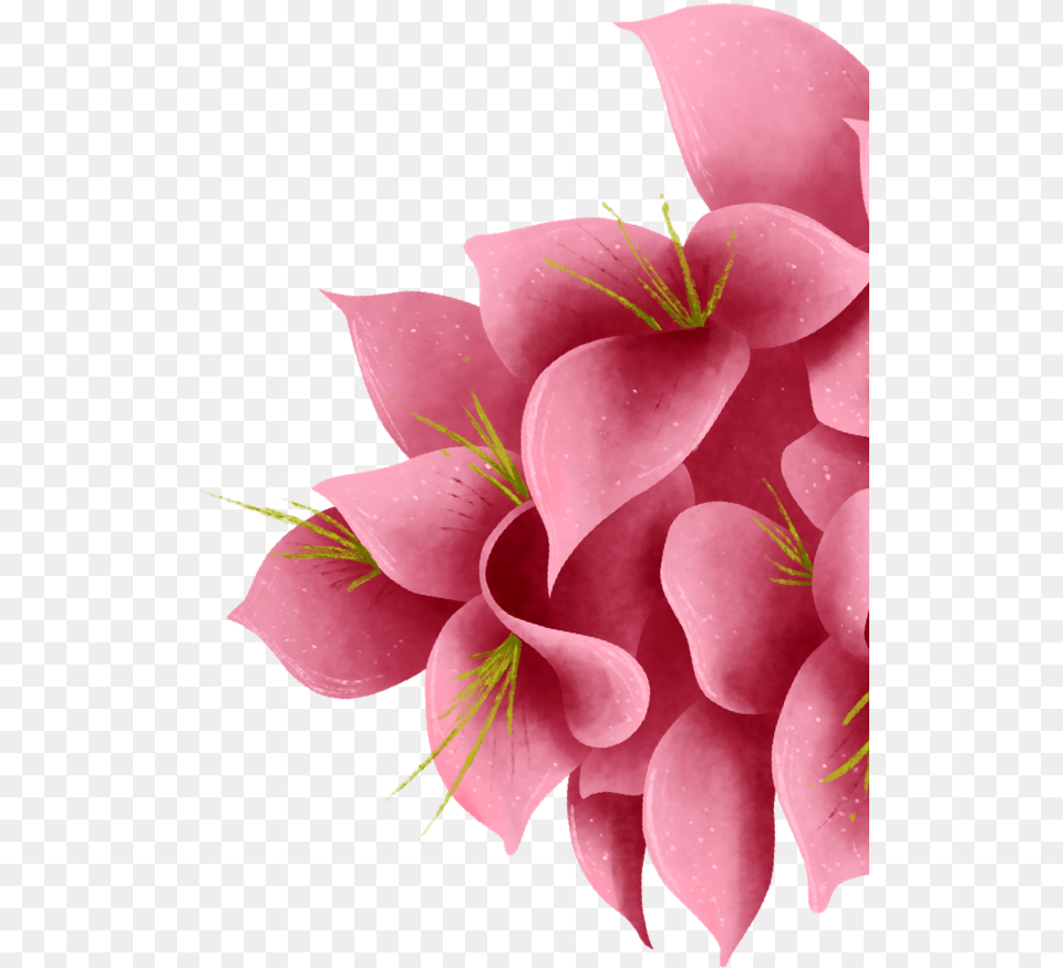 Artificial Flower, Dahlia, Flower Arrangement, Flower Bouquet, Petal Png