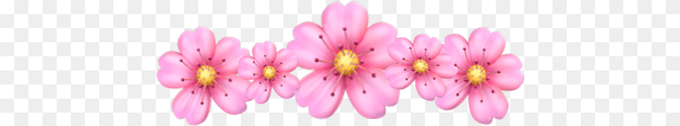 Artificial Flower, Anther, Petal, Plant, Cherry Blossom Free Png Download