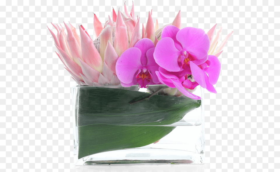 Artificial Flower, Flower Arrangement, Flower Bouquet, Petal, Plant Free Transparent Png