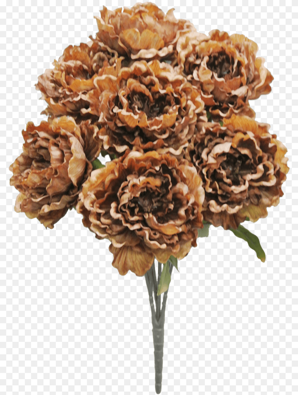 Artificial Flower, Carnation, Plant Free Png Download