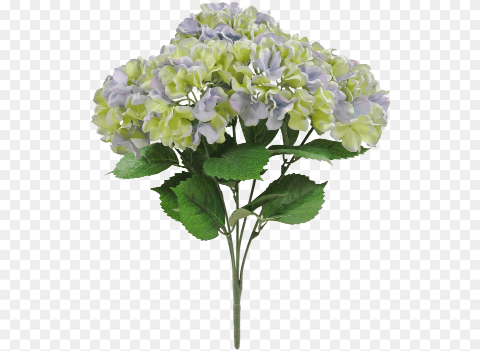 Artificial Flower, Flower Arrangement, Flower Bouquet, Geranium, Plant Png Image
