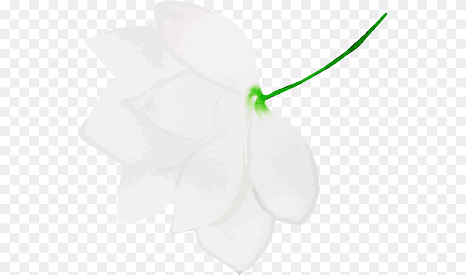 Artificial Flower, Leaf, Petal, Plant, Anemone Png Image