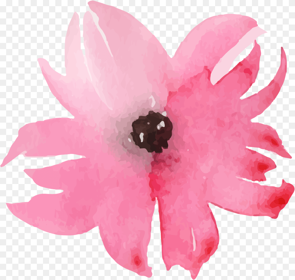 Artificial Flower, Plant, Petal, Dahlia, Daisy Free Transparent Png