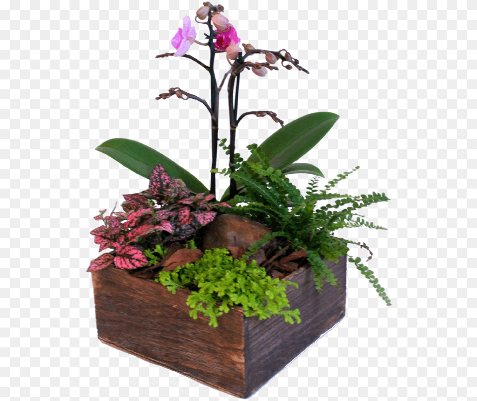 Artificial Flower, Flower Arrangement, Ikebana, Plant, Potted Plant Png