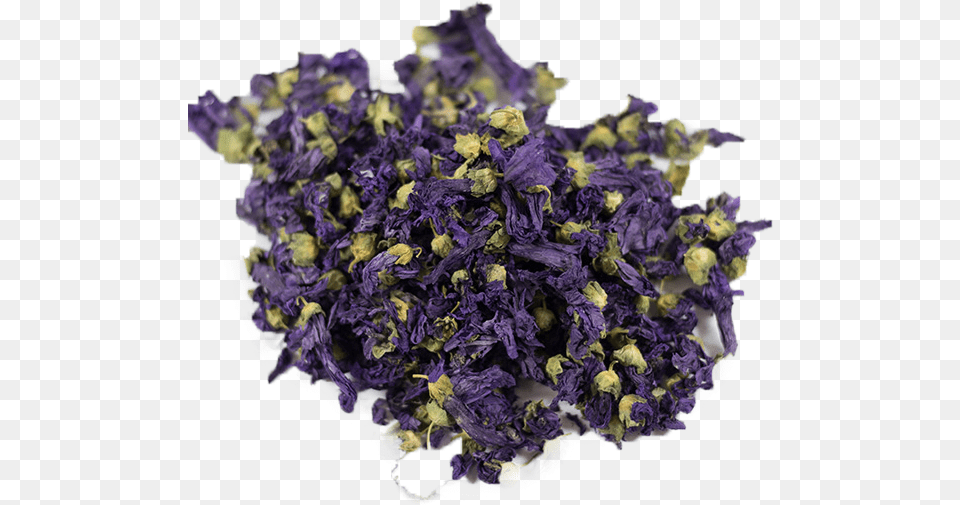 Artificial Flower, Herbal, Herbs, Plant, Lavender Png