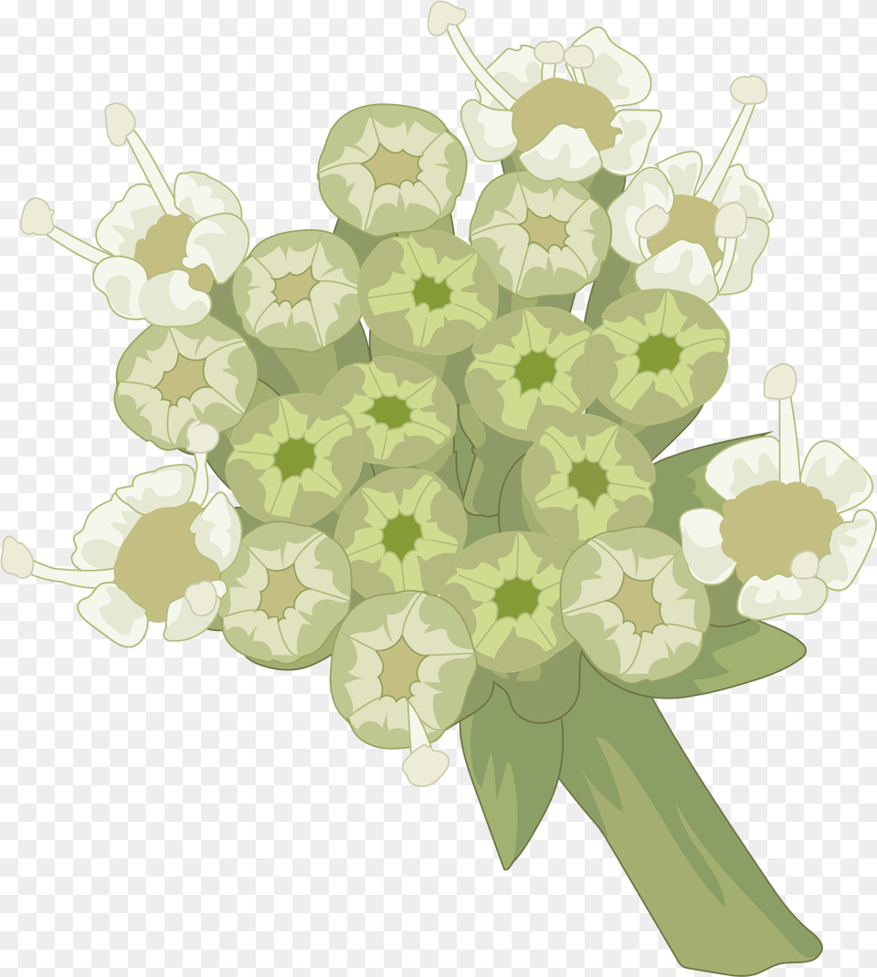 Artificial Flower, Apiaceae, Pattern, Graphics, Flower Bouquet Free Png Download