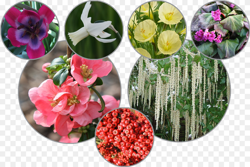 Artificial Flower, Art, Collage, Plant, Flower Arrangement Png Image