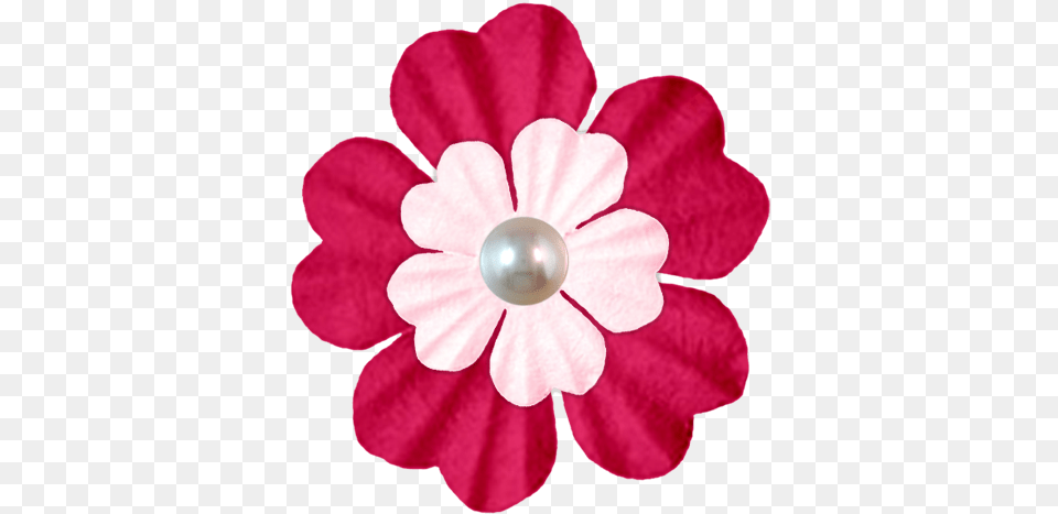 Artificial Flower, Accessories, Jewelry, Anemone, Plant Free Png