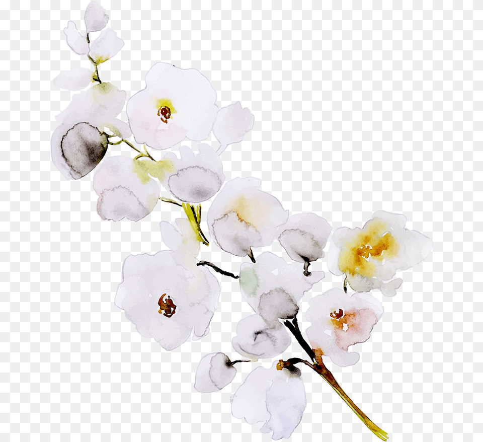 Artificial Flower, Petal, Plant, Anther, Orchid Png Image