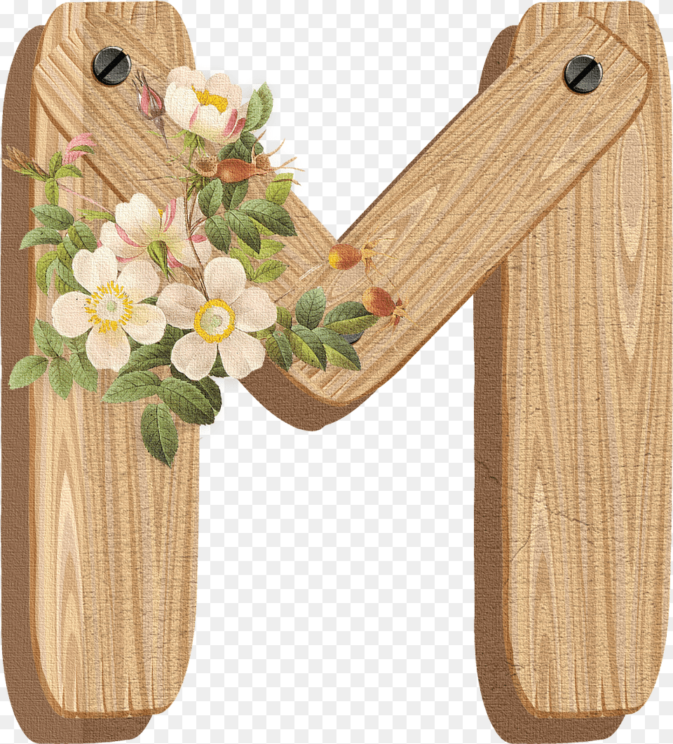 Artificial Flower, Wood, Plant Png