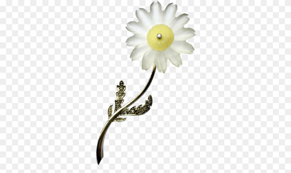 Artificial Flower, Accessories, Daisy, Jewelry, Plant Png Image