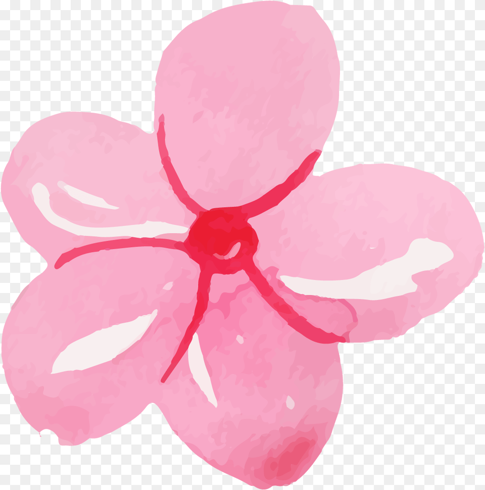 Artificial Flower, Petal, Plant, Cherry Blossom, Baby Free Transparent Png