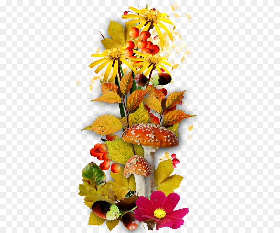 Artificial Flower, Fungus, Leaf, Plant, Flower Arrangement Free Transparent Png