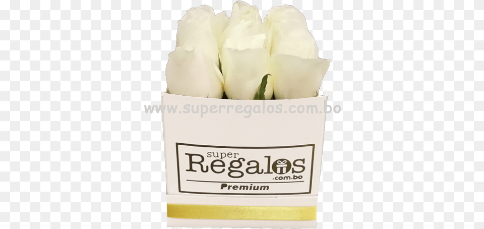 Artificial Flower, Petal, Plant, Rose, Flower Arrangement Png