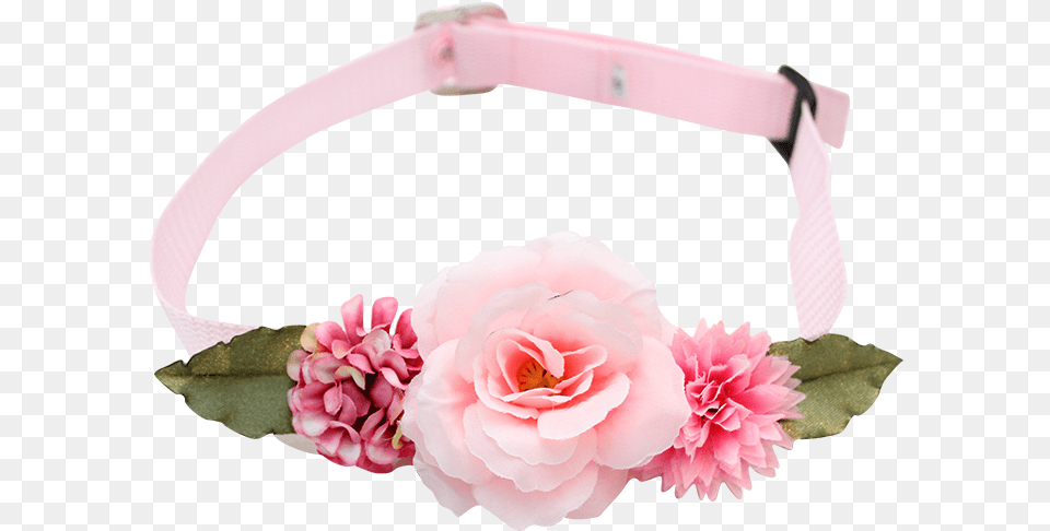 Artificial Flower, Accessories, Plant, Rose, Headband Png