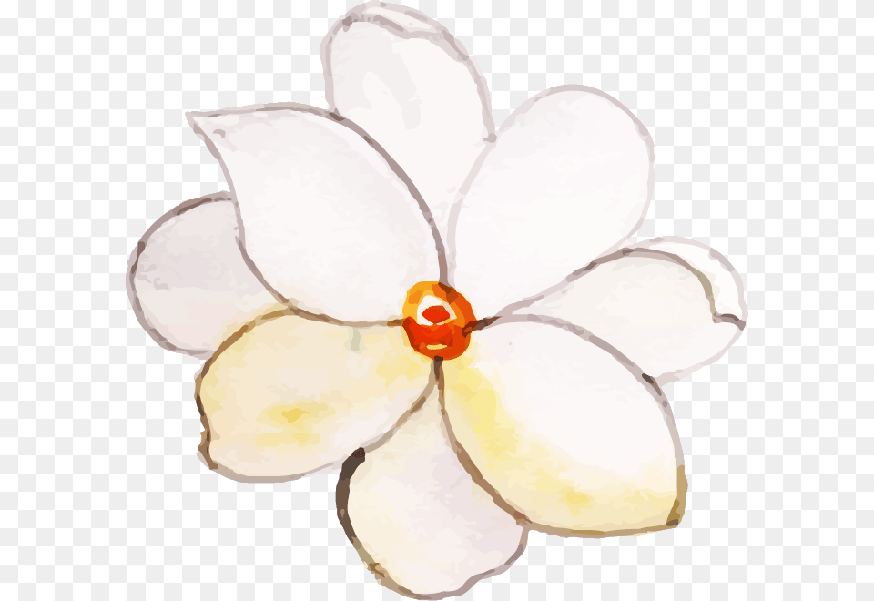 Artificial Flower, Accessories, Anemone, Plant, Jewelry Free Transparent Png