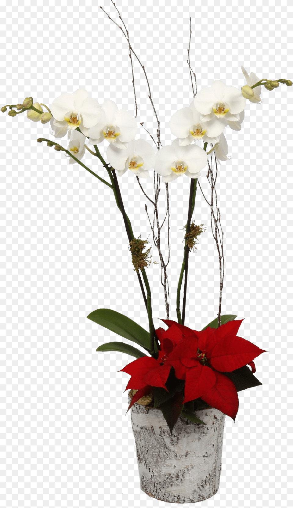 Artificial Flower, Flower Arrangement, Flower Bouquet, Ikebana, Plant Free Png