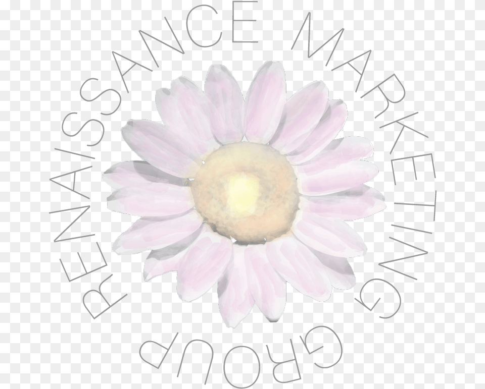 Artificial Flower, Anemone, Daisy, Petal, Plant Free Png