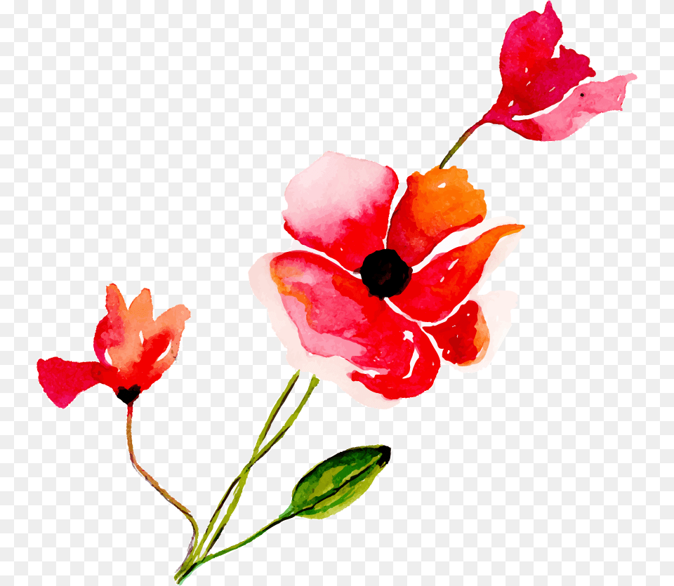 Artificial Flower, Petal, Plant Png Image