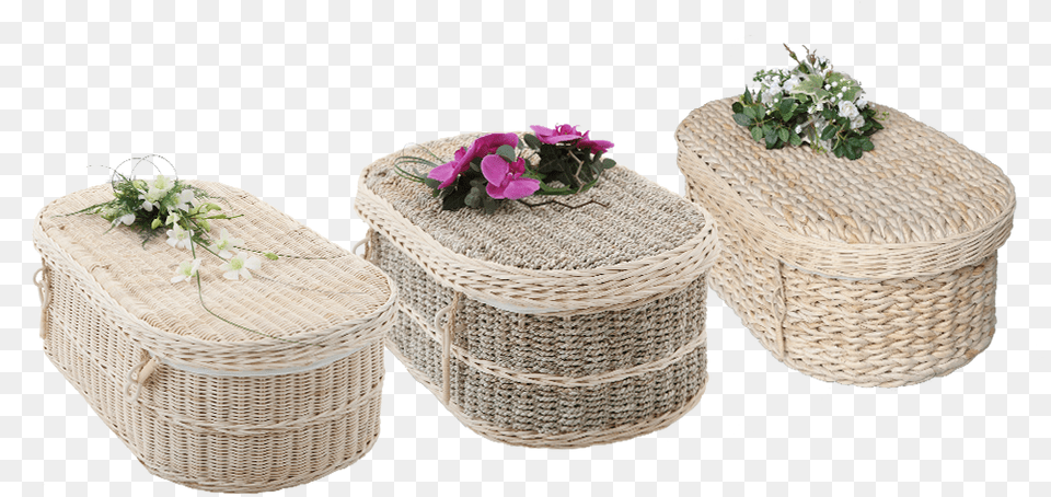 Artificial Flower, Plant, Potted Plant, Basket, Flower Arrangement Png Image