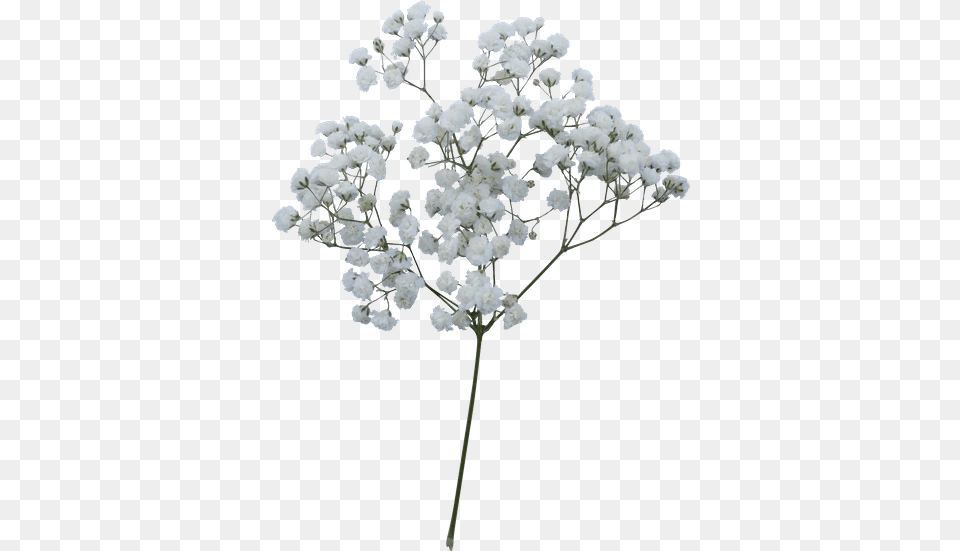 Artificial Flower, Plant, Ice, Nature, Outdoors Free Transparent Png