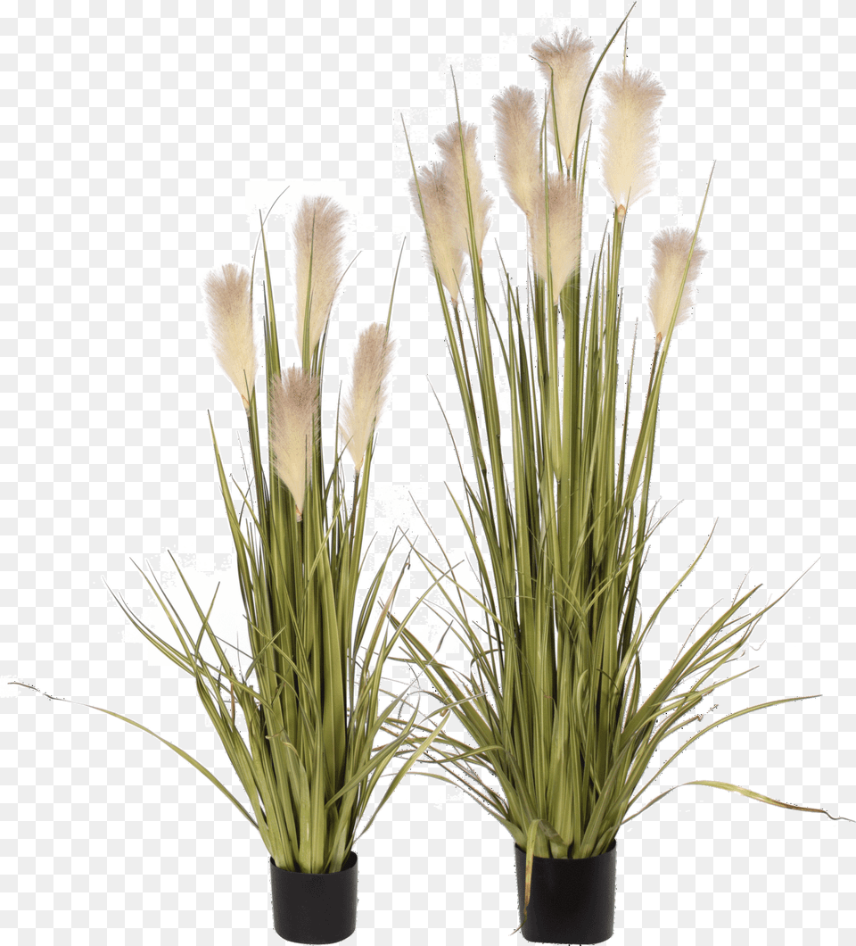 Artificial Flowers Grass, Flower, Plant, Flower Arrangement, Potted Plant Png