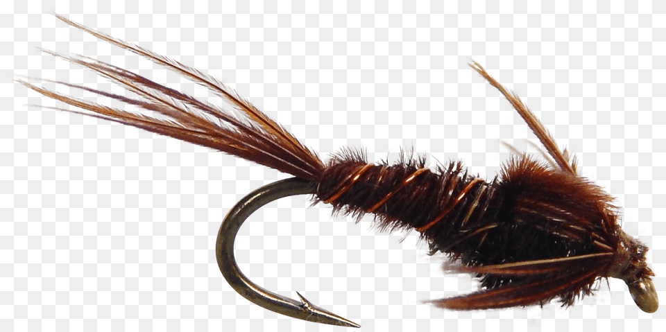 Artificial Fly Pheasant Tail Nymph Fly Fishing Fly Artificial Fly, Electronics, Hardware, Animal, Insect Png