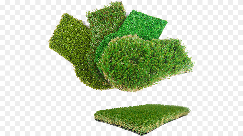 Artificial Grass, Moss, Plant, Green, Vegetation Free Png Download