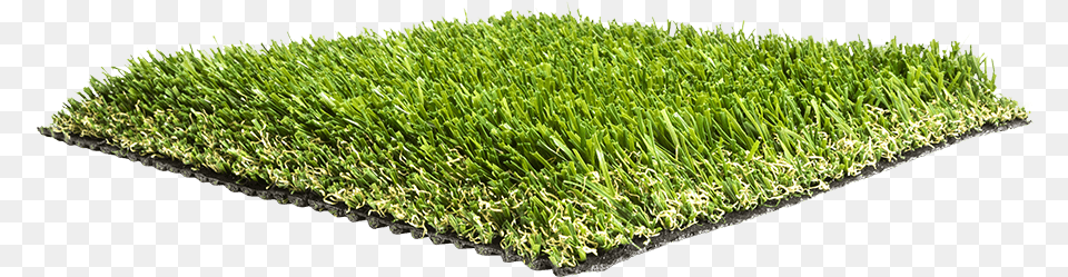 Artificial Grass Liquidators Turf Agl Pro69 Lawn, Moss, Plant, Vegetation, Potted Plant Free Png