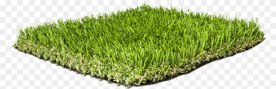 Artificial Grass Liquidators Turf Products Agl Pro50 Sweet Grass, Lawn, Moss, Plant, Vegetation Png