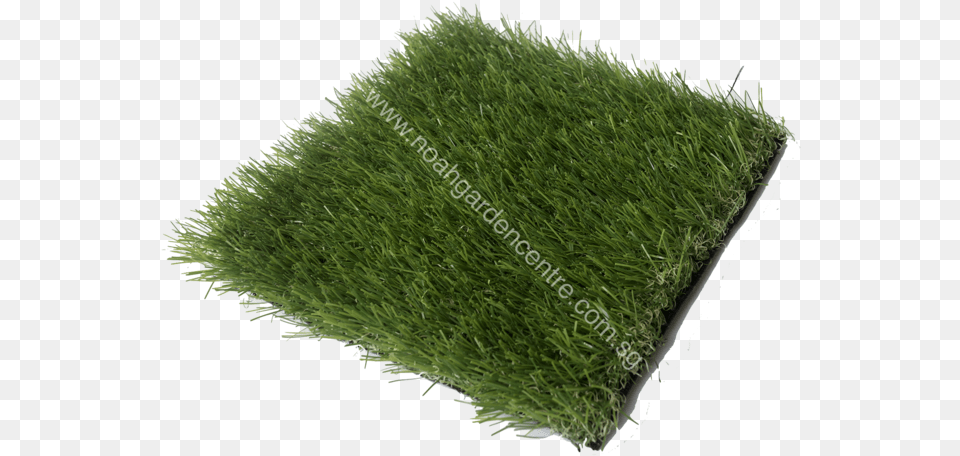 Artificial Grass Turf Olive Green Lawn, Moss, Plant, Vegetation Free Png Download