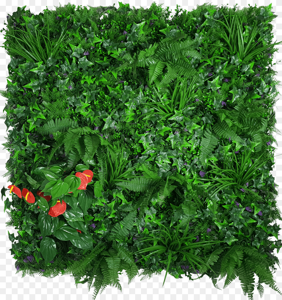 Artificial Green Wall Hedge Panel Mixed Jungle Free Png