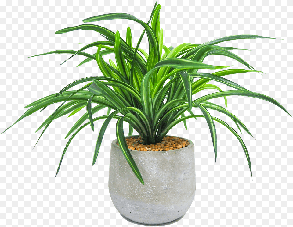 Artificial Plants Trees Houseplant, Plant, Potted Plant, Jar, Planter Free Png