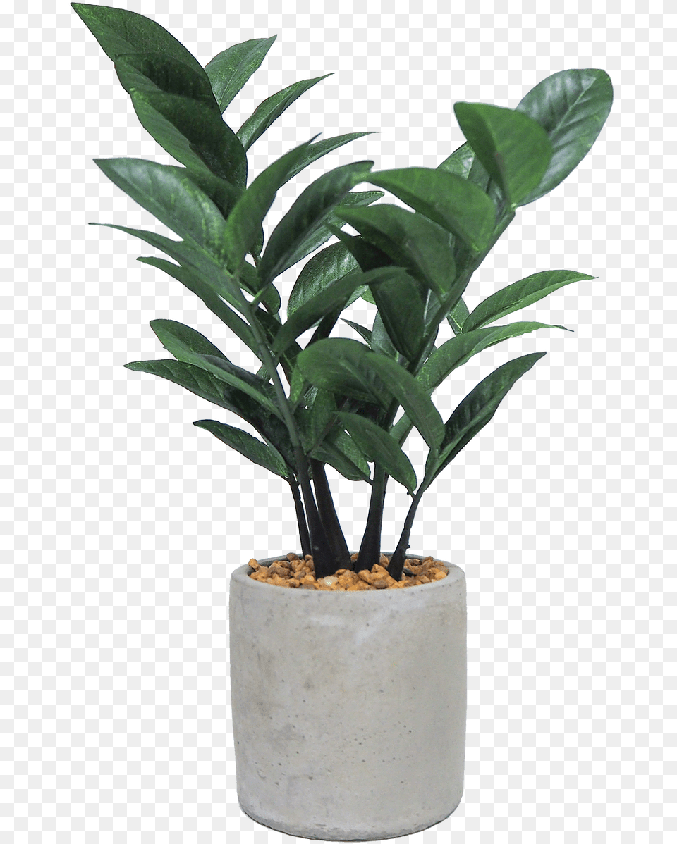 Artificial Plants U0026 Trees Hong Kong Hostwin Houseplant, Vase, Tree, Pottery, Potted Plant Free Transparent Png