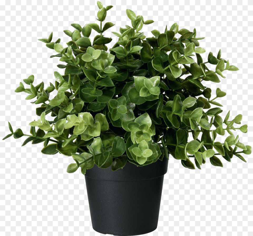 Artificial Potted Plant Oregano Transparent Background Plant Pots Hd, Potted Plant, Leaf, Flower, Jar Free Png Download