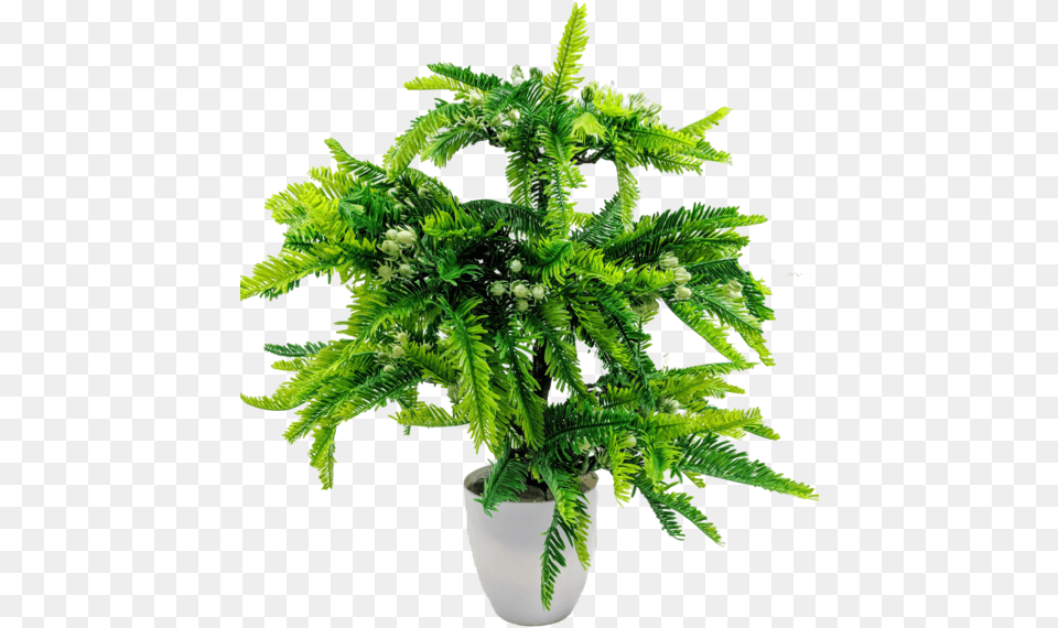 Artificial Potted Treedata Rimg Lazydata Rimg, Fern, Plant, Potted Plant, Tree Free Transparent Png