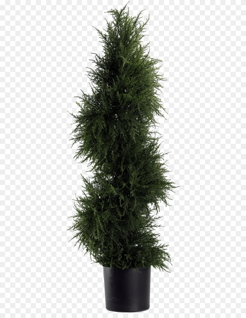 Artificial Spiral Cedar Topiary, Conifer, Fir, Pine, Plant Free Transparent Png