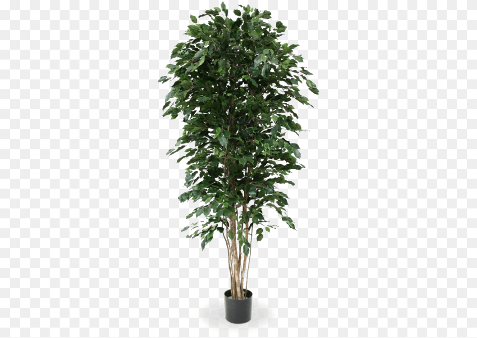 Artificial Tree File, Plant, Potted Plant, Leaf Free Transparent Png