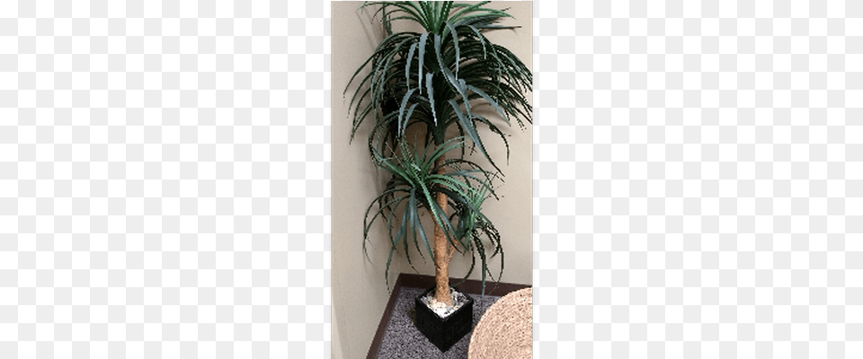Artificial Tropical Plant In Square Blk Planter Houseplant, Potted Plant, Tree, Palm Tree Png Image