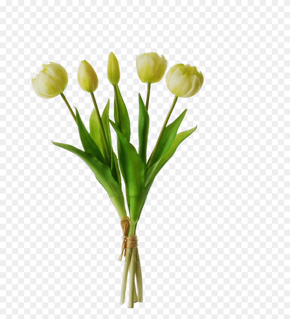 Artificial Tulips In A Bundle, Flower, Flower Arrangement, Plant, Tulip Png Image