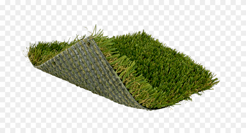 Artificial Turf, Grass, Jar, Moss, Plant Png Image