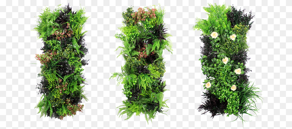 Artificial Vertical Garden Vertical Garden, Moss, Plant, Conifer, Tree Free Png