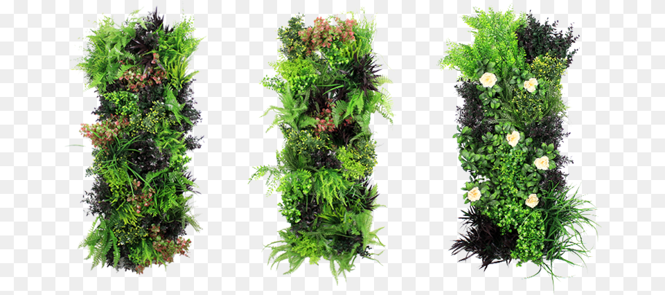 Artificial Vertical Garden Vertical Green Wall, Moss, Plant, Conifer, Tree Free Transparent Png