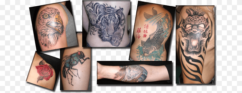 Artisanal Tatoo Perigueux Prix, Person, Skin, Tattoo Free Png Download