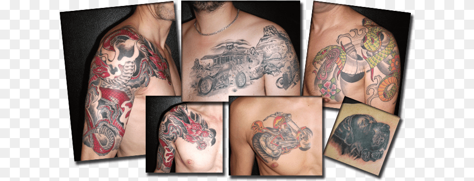 Artisanal Tatoo Tatoo Tattoo, Person, Skin, Animal, Canine Free Png