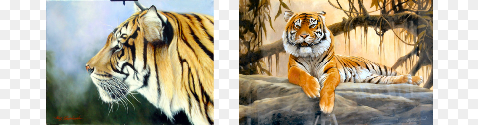 Artist, Animal, Mammal, Tiger, Wildlife Png